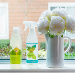 White pitcher vase with white flowers and 2 spray bottles of cleaner
